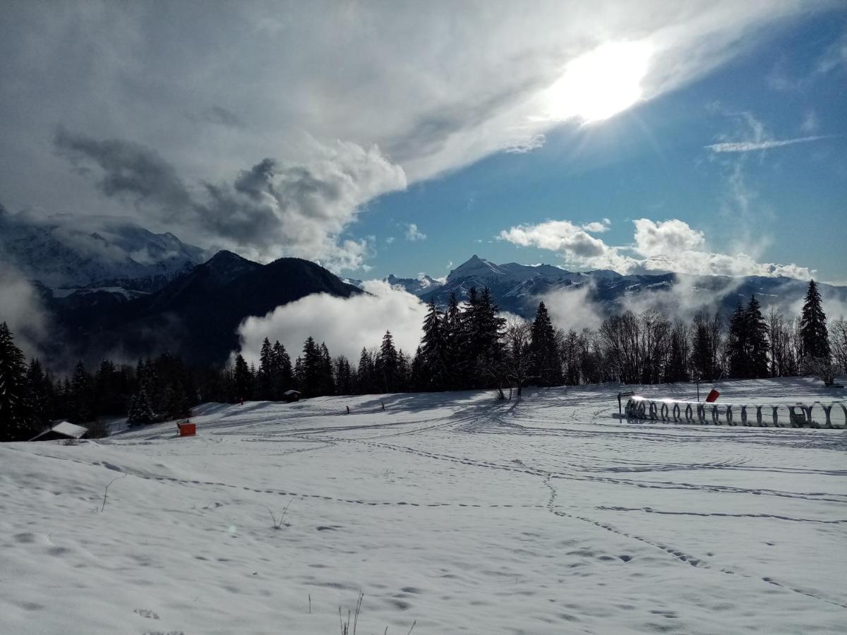 Apartmán Mont Etape , F2, 42 M2, Calme, Vue Mt Blanc Passy  Exteriér fotografie