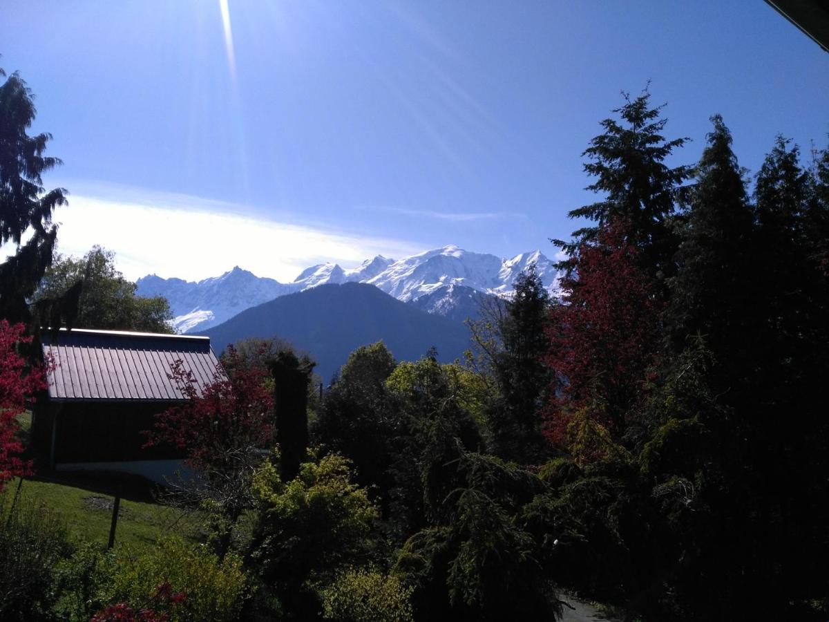 Apartmán Mont Etape , F2, 42 M2, Calme, Vue Mt Blanc Passy  Pokoj fotografie